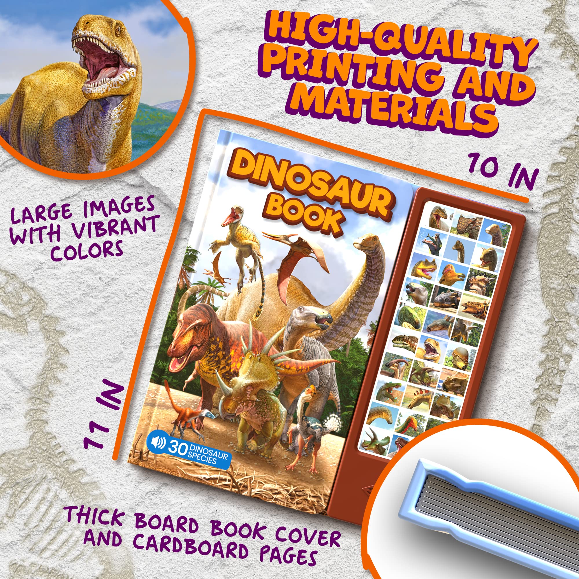 Hemalleon paleo-art illustrations showcase bold colors for curiosity and exploration.