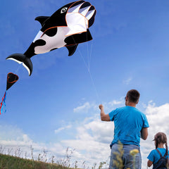 HENGDA KITE easy to fly for kids and adults