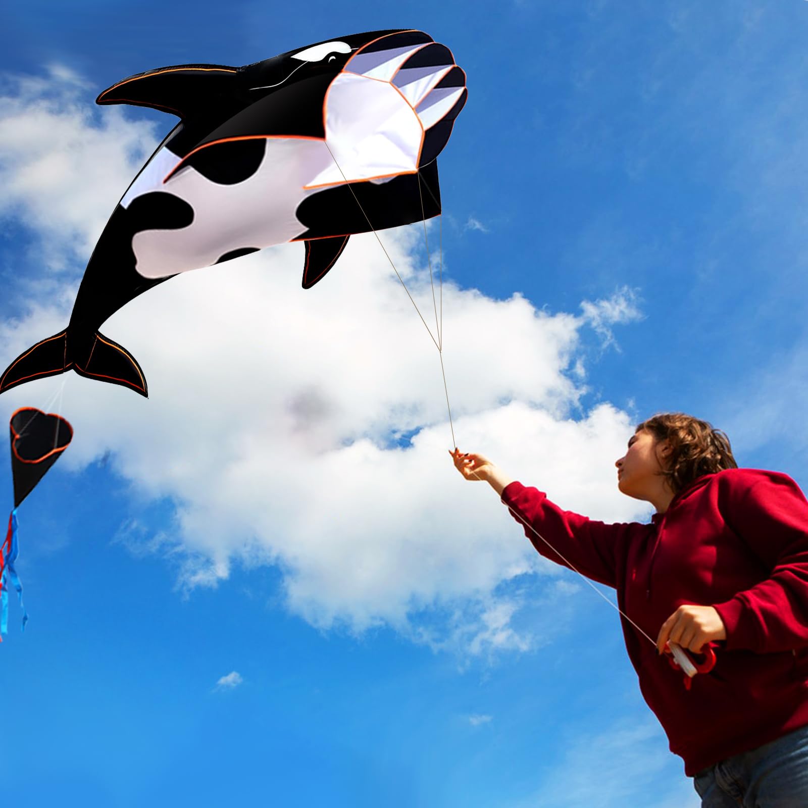 HENGDA KITE high-definition art print stays sharp in sunlight