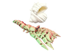 Close-up of Hermit Crab Articulated Toy showing multicolor filament.