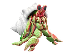 Size reference of Hermit Crab Articulated Toy beside everyday objects.