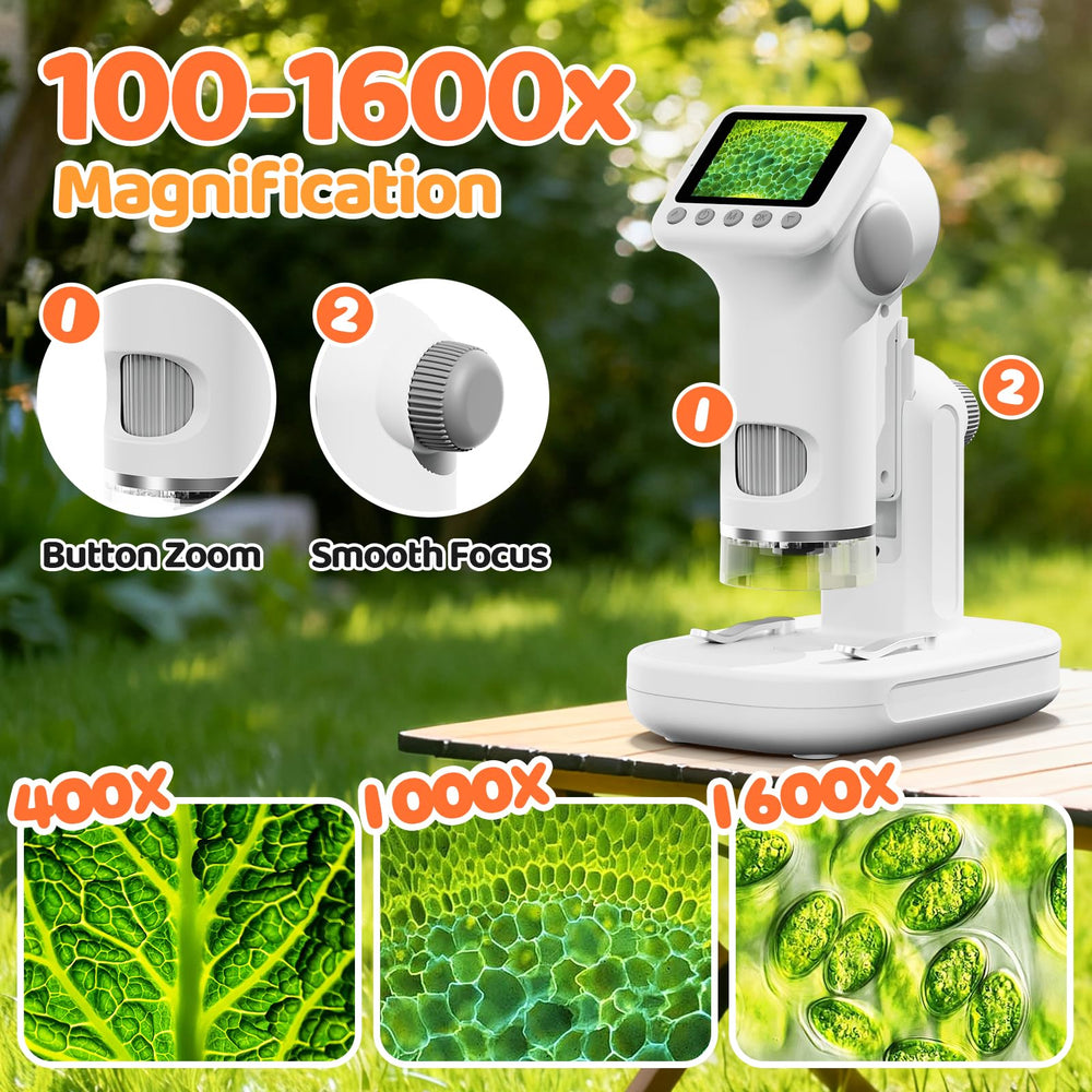 HEWEIMEI 1600x magnification reveals tiny details in insects and plants
