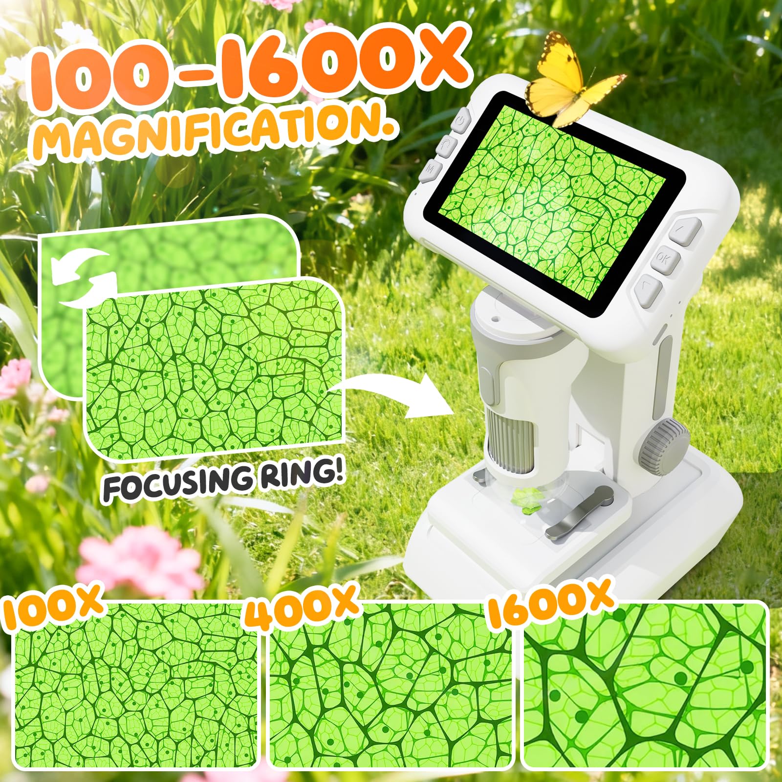 HEWEIMEI slides kit supports hands-on science exploration.