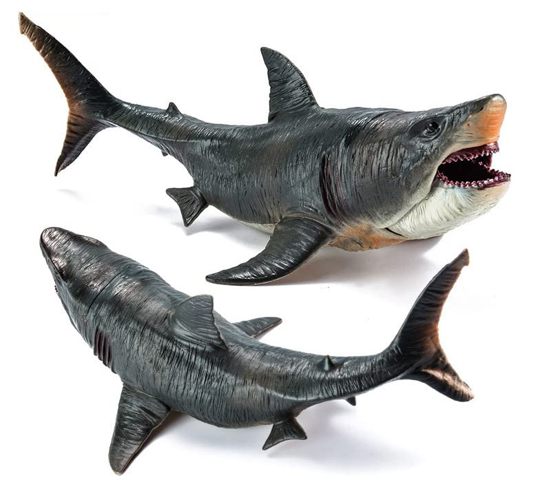 Higherbros educational toy introduces sea animals and vocabulary