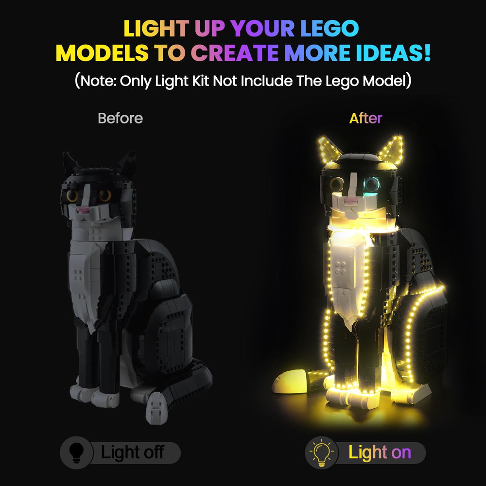 Hilighting light kit USB powered for flexible, safe 5V illumination