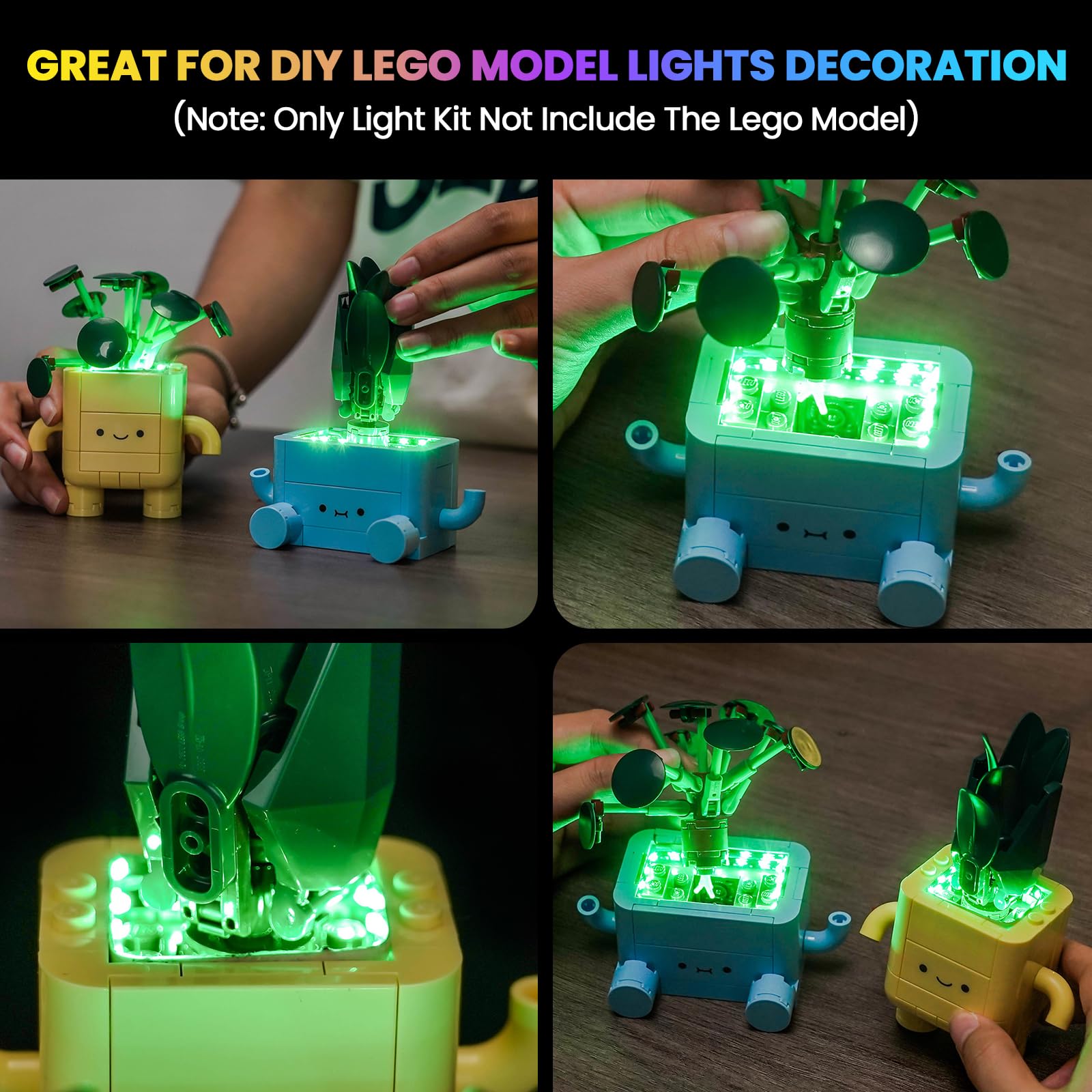 Seven-color flashing mode adds dynamic lighting to your display.