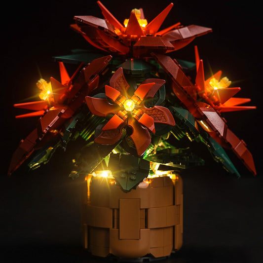 Hilighting upgraded LED kit lights the Poinsettia display with vivid illumination