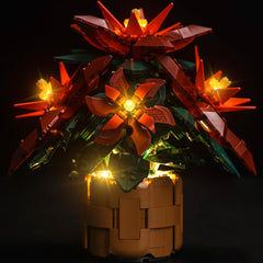 Hilighting upgraded LED kit lights the Poinsettia display with vivid illumination