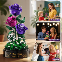HiWEEGO rose garden DIY setup for customizable arrangement
