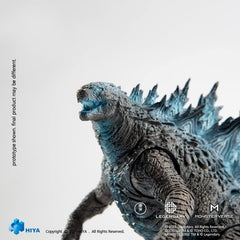 Hiya Toys accurate on-screen details support faithful display without scale compromise.