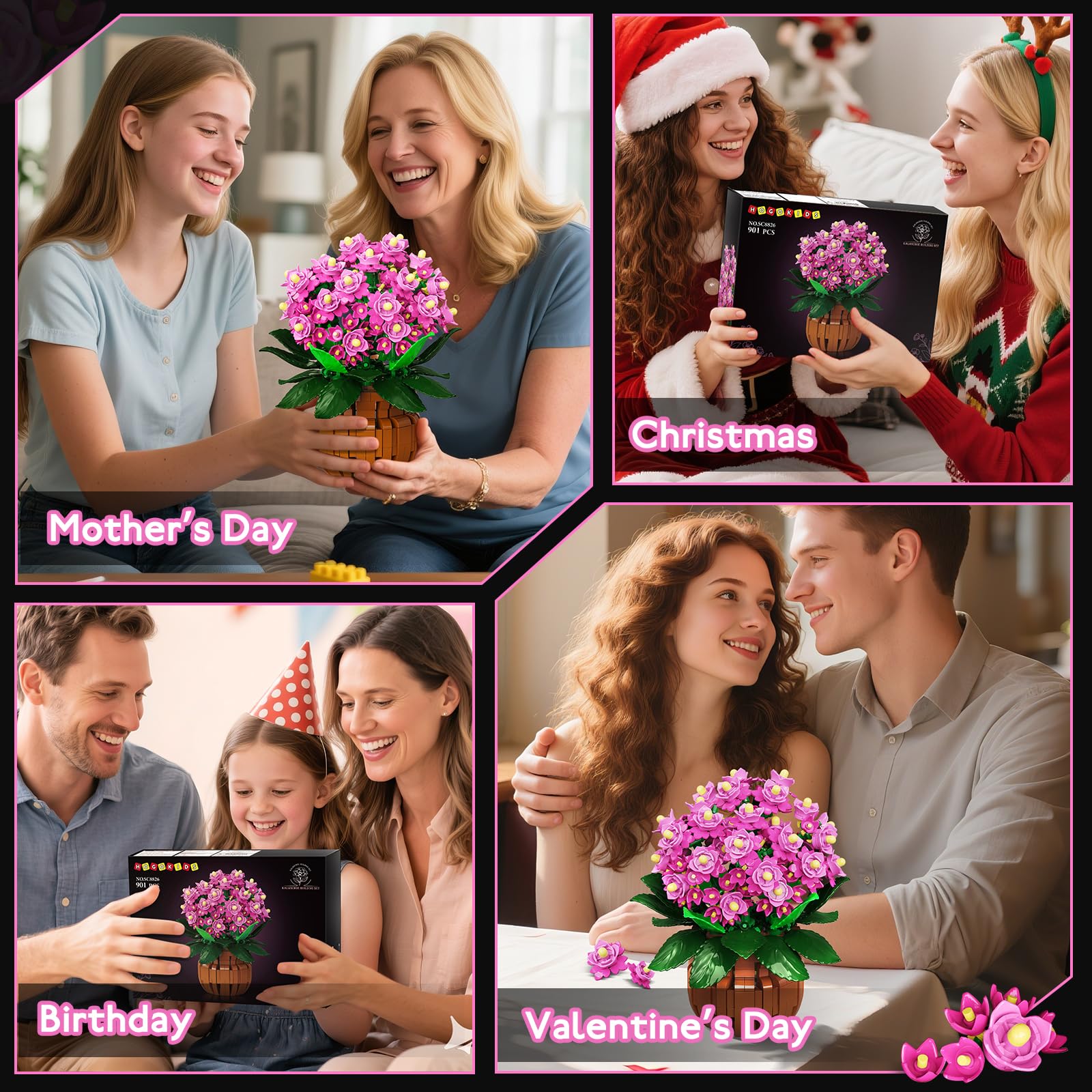 HOGOKIDS Kalanchoe bonsai assembly complete display showcasing creativity and ambiance