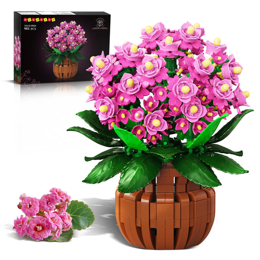 HOGOKIDS Kalanchoe bonsai assembly parts for a lasting decorative piece in home or office