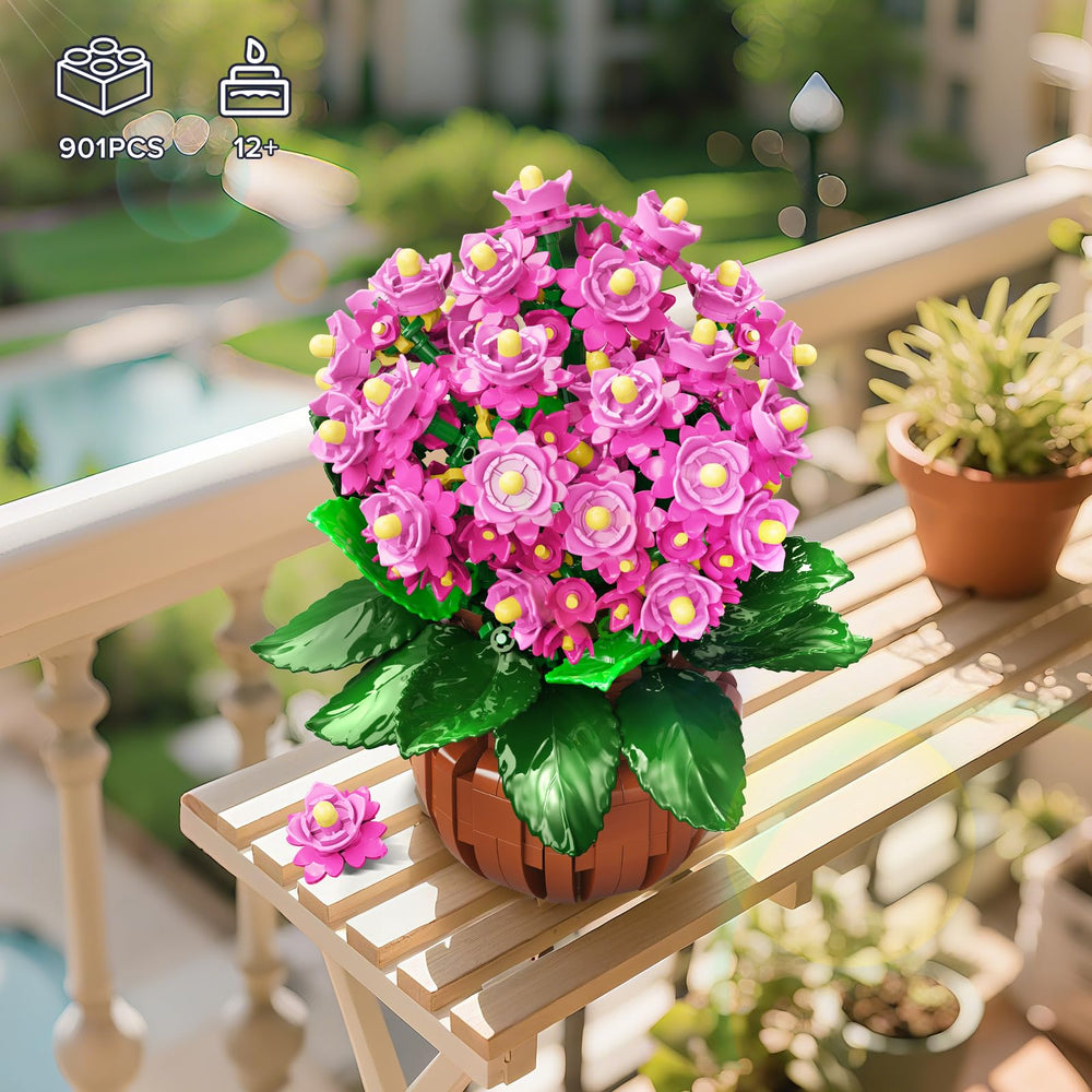 HOGOKIDS Kalanchoe bonsai rose flowers detail showing vibrant pink blooms for display