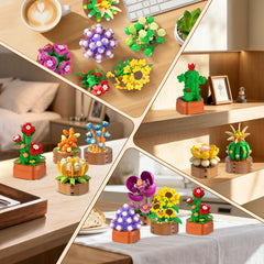 HOGOKIDS varied botanicals collection on display.