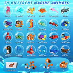HOGOKIDS whale blocks pack for rewards, sparks curiosity about sea life and colors