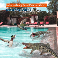 HOHQB pool decor with 40in inflatable alligator for summer gatherings.