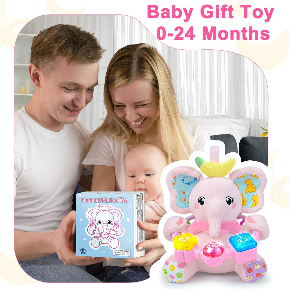 Holaxander elephant toy battery compartment powers lights and melodies.