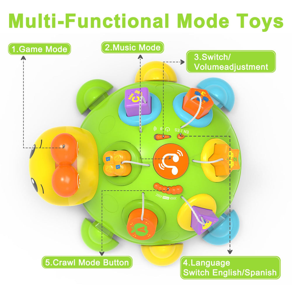 Holaxander Musical Ladybug toy back view with lights and nine songs for stimulation.