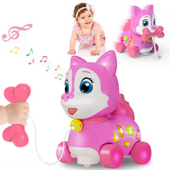 Holaxander musical puppy toy with lights and buttons for interactive learning
