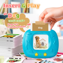 HOMESTEC cards feature animals to spark curiosity and memory.