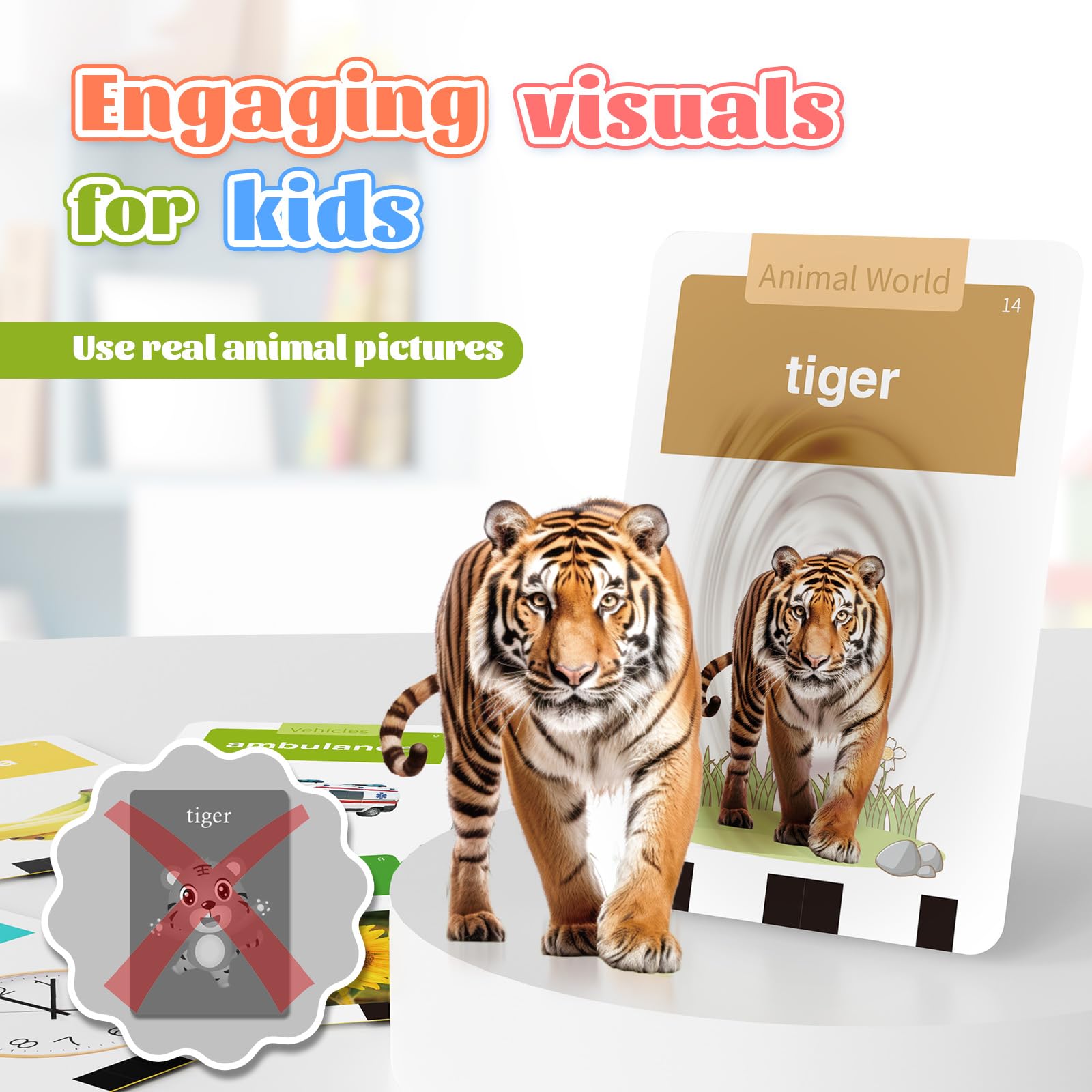 HOMESTEC real-photo cards improve recognition beyond cartoons.