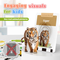 HOMESTEC real-photo cards improve recognition beyond cartoons.