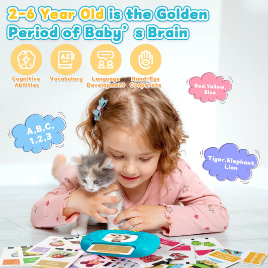 HOMESTEC flash cards display 288 words with vivid visuals for daily practice
