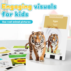 HOMESTEC cards cover essential vocabulary for playtime and routines