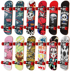 HOMETALL fingerboards 12-pack with varied designs for creative play.