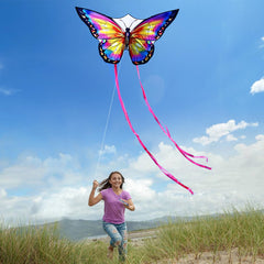 Honbo Butterfly Kite demonstrates easy assembly for a quick setup.