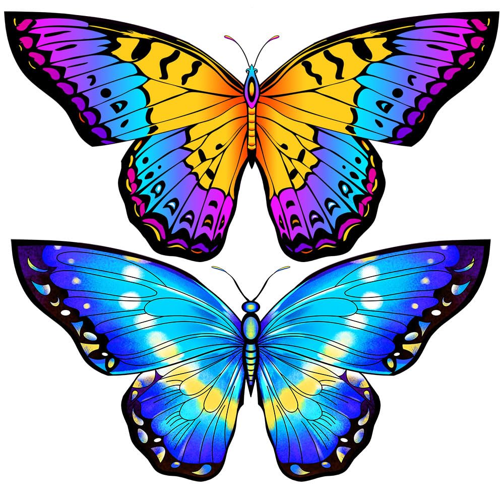 Honbo Butterfly Kite supports shared outdoor play for kids and adults.
