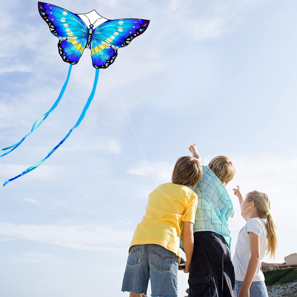 Honbo Butterfly Kite packs into a small bag for travel convenience.