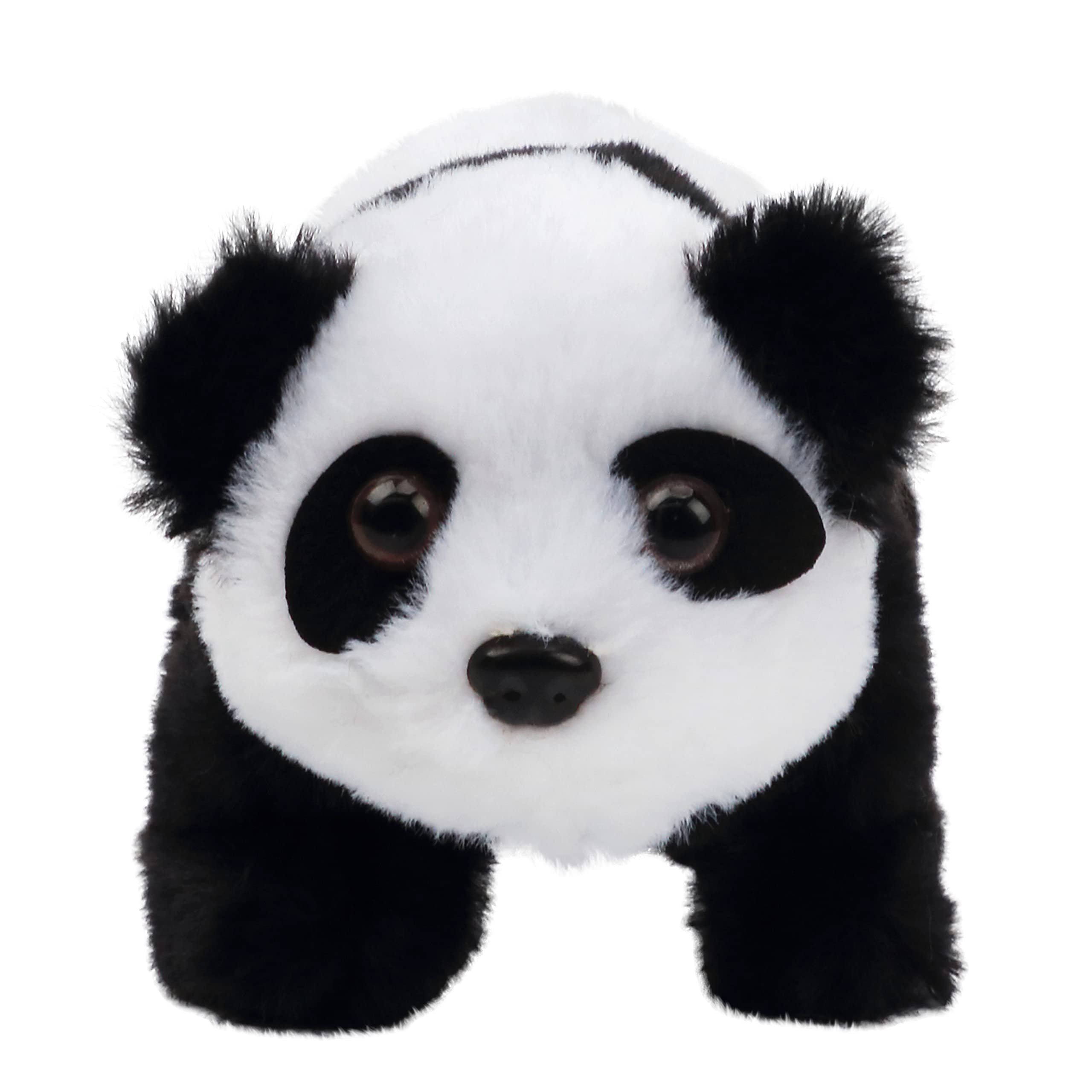 Hopearl Crawling Panda gift-ready packaging for easy gifting