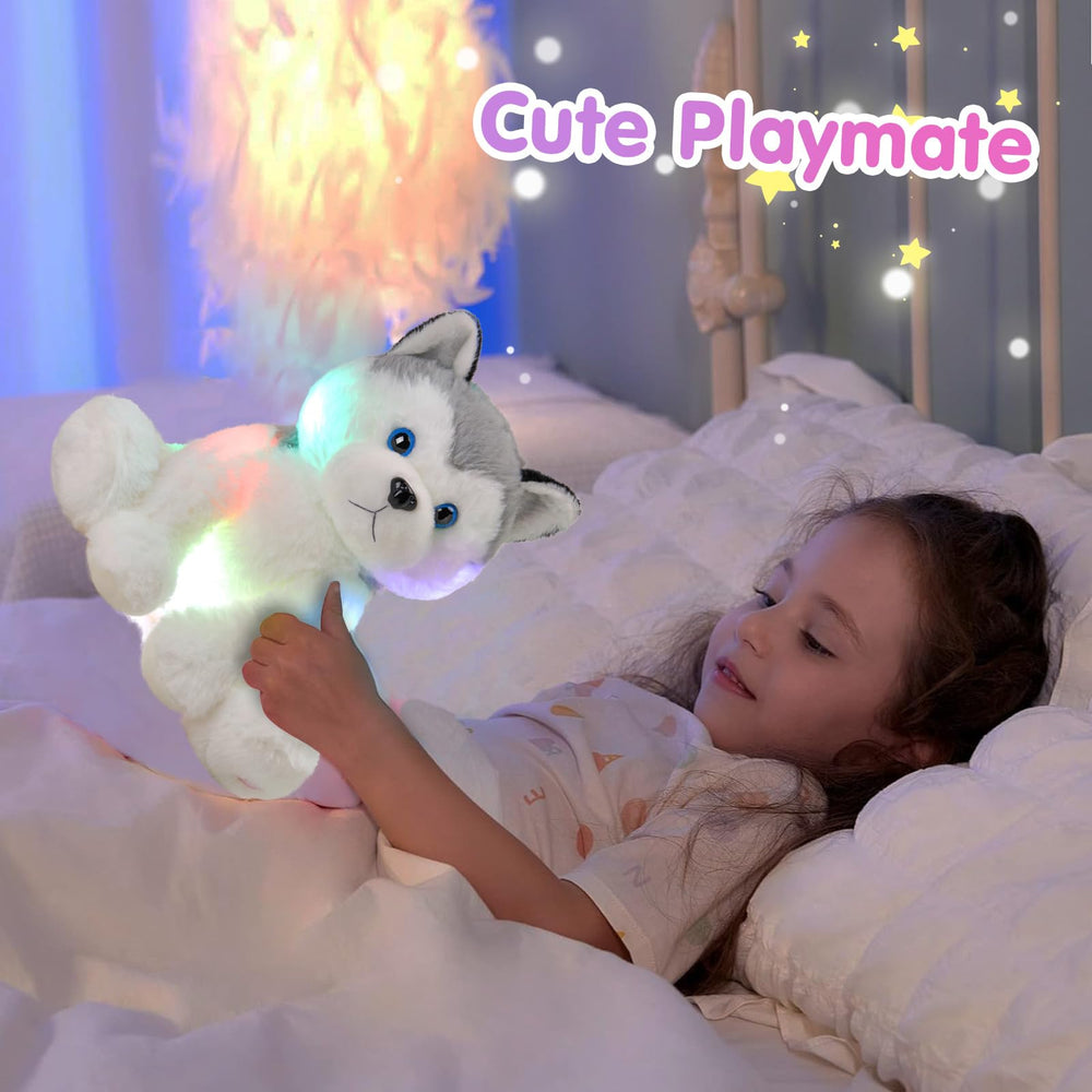 Houwsbaby Husky packaging, ideal gift for birthdays and festivals