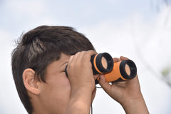HQ 4KIDS magnifying glass for close-up insect exploration and discovery.