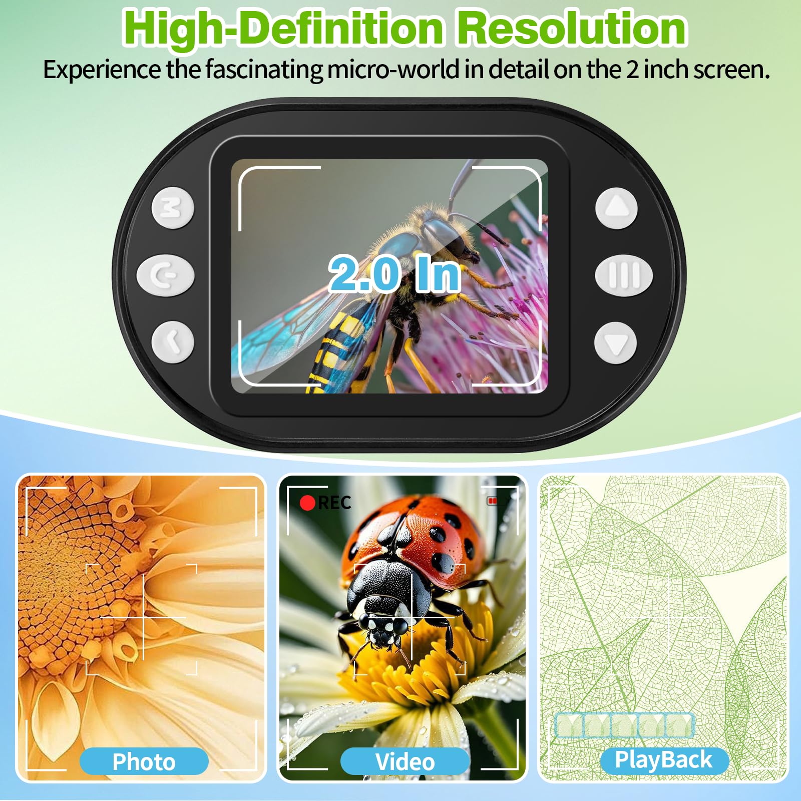HQGZQL eye-safe LED illumination reveals fine leaf and insect structures.