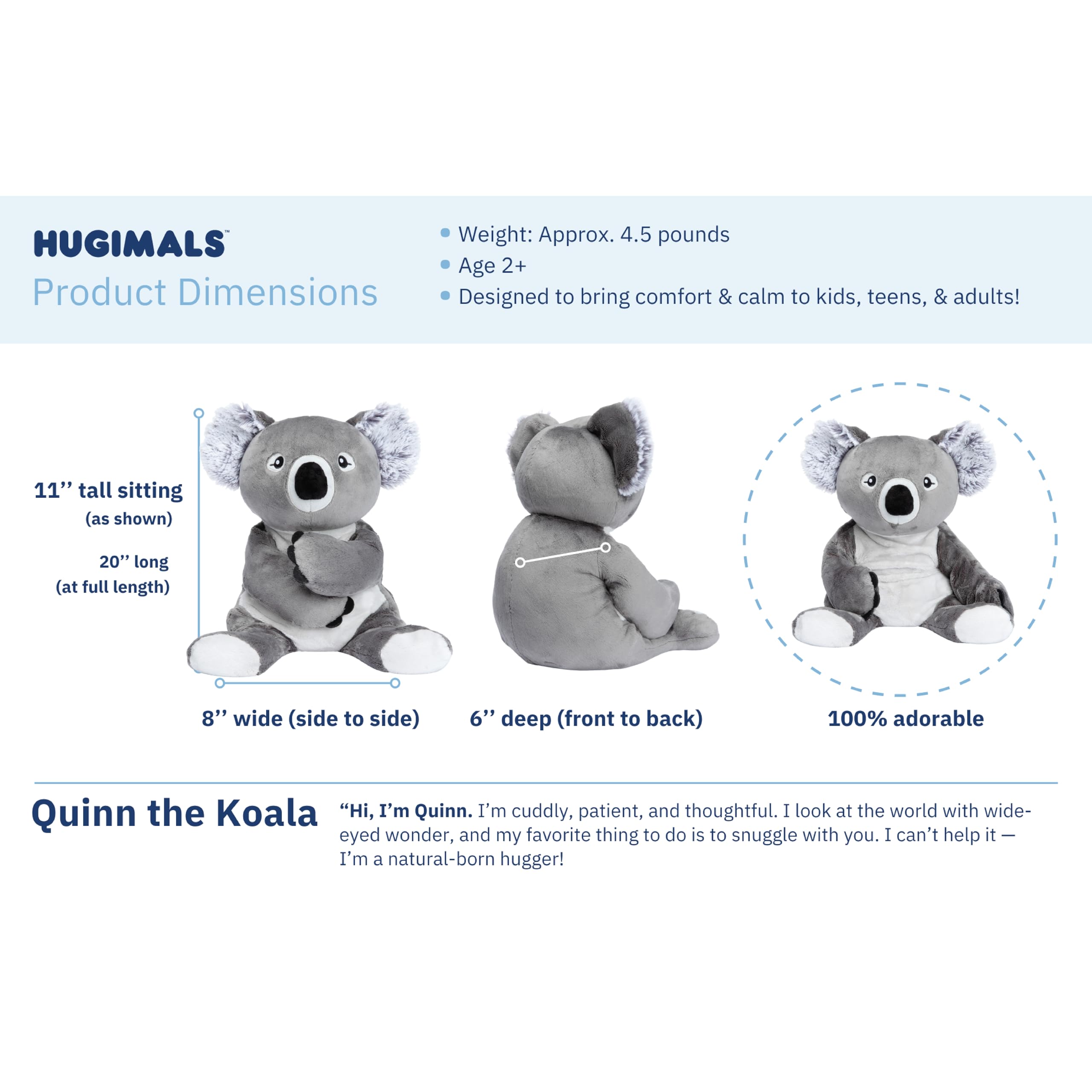 Quinn Koala makes a thoughtful gift with a cozy presence