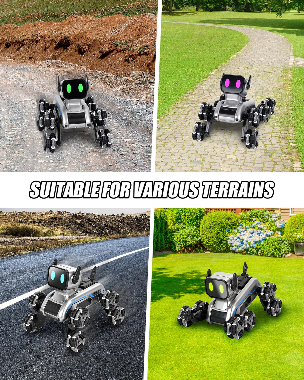 HuiJuKeJi robot dog delivering rhythmic sounds during performance