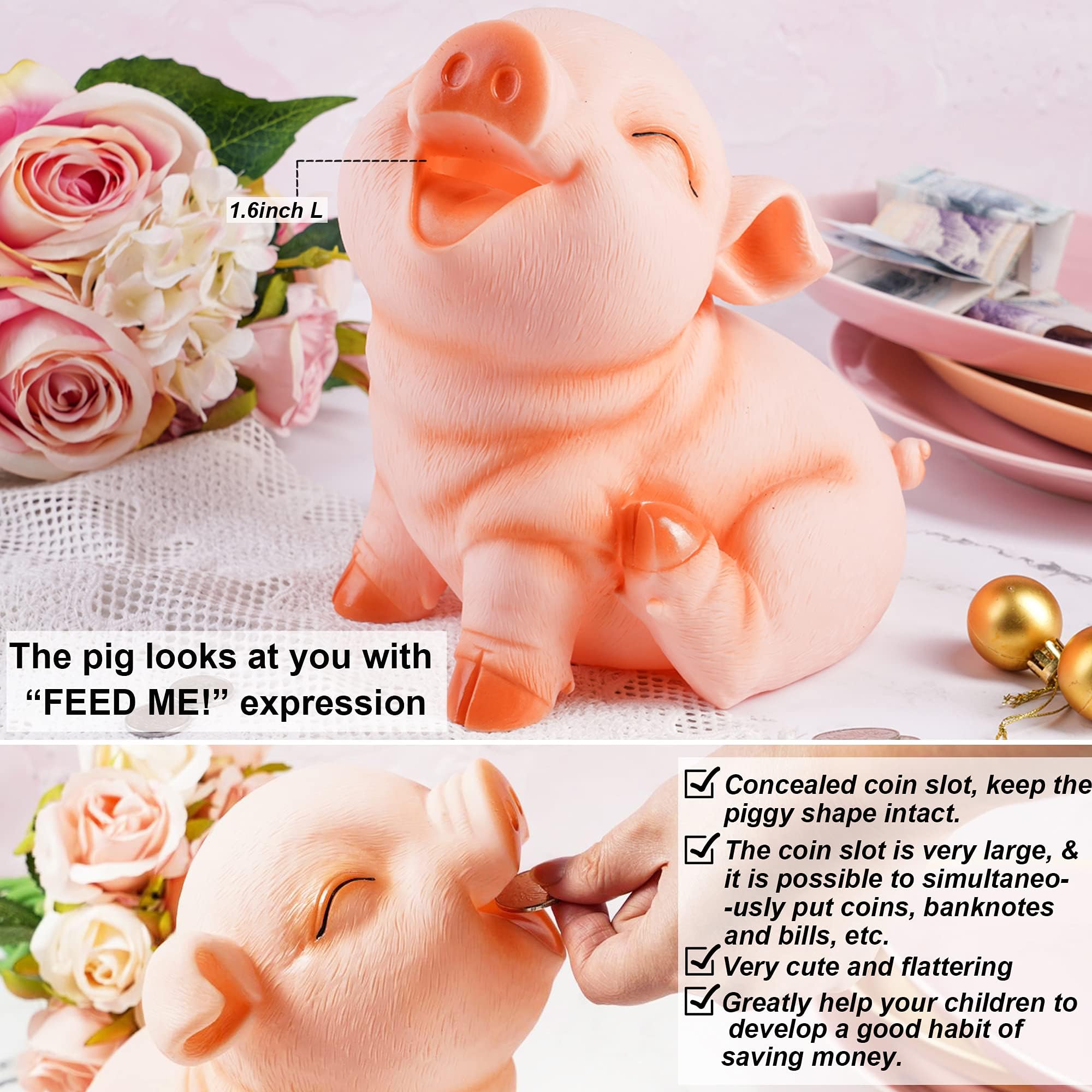 H&W coin bank wide 1.6-inch slot accommodates coins