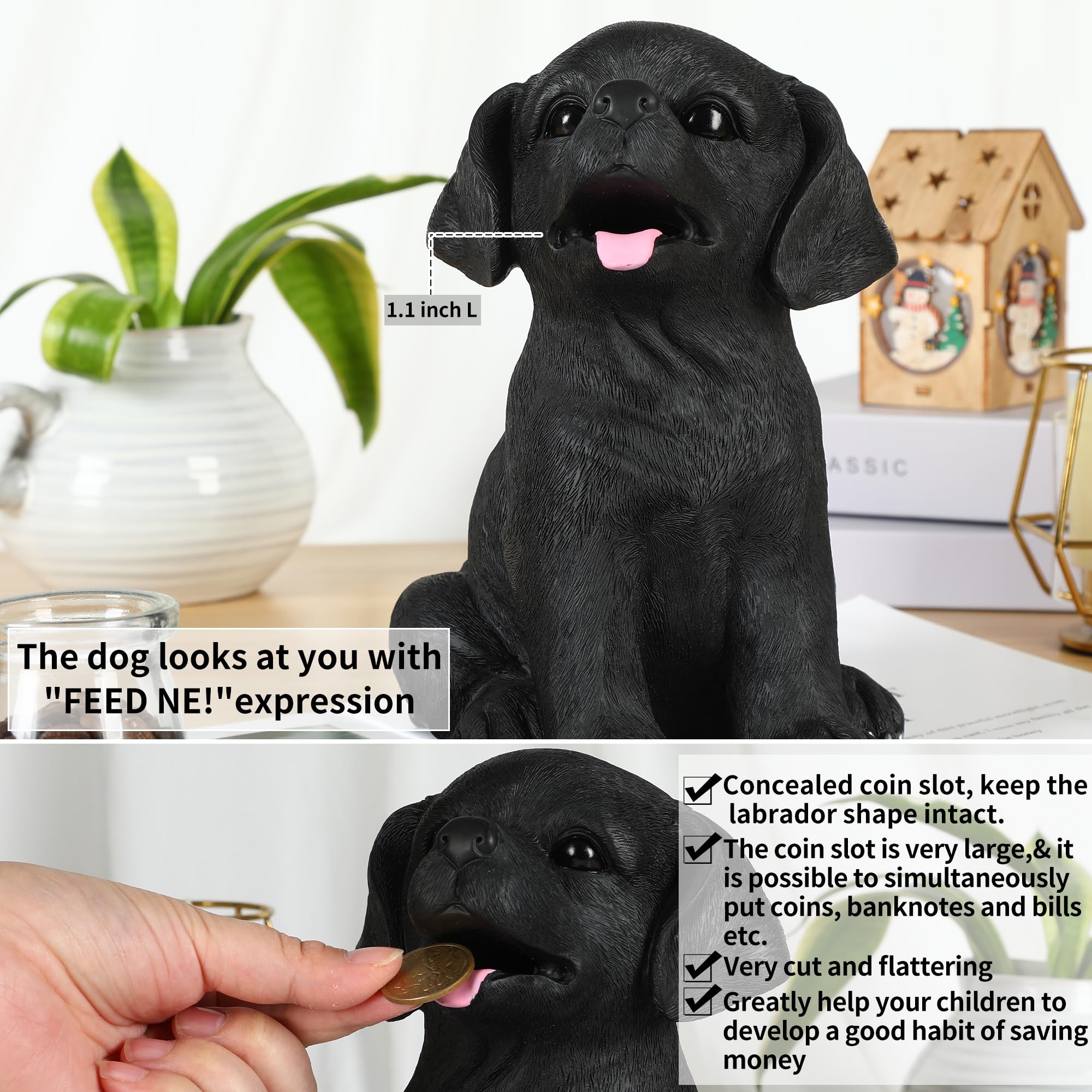 H&W Labrador dog bottom opening demonstrates easy coin retrieval.