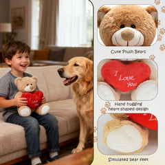 HWD Gift-ready teddy display, ready-to-ship decor for bedroom shelves