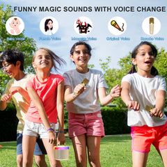 HWWR Karaoke Mics accompany kids’ performances with clear wireless audio.