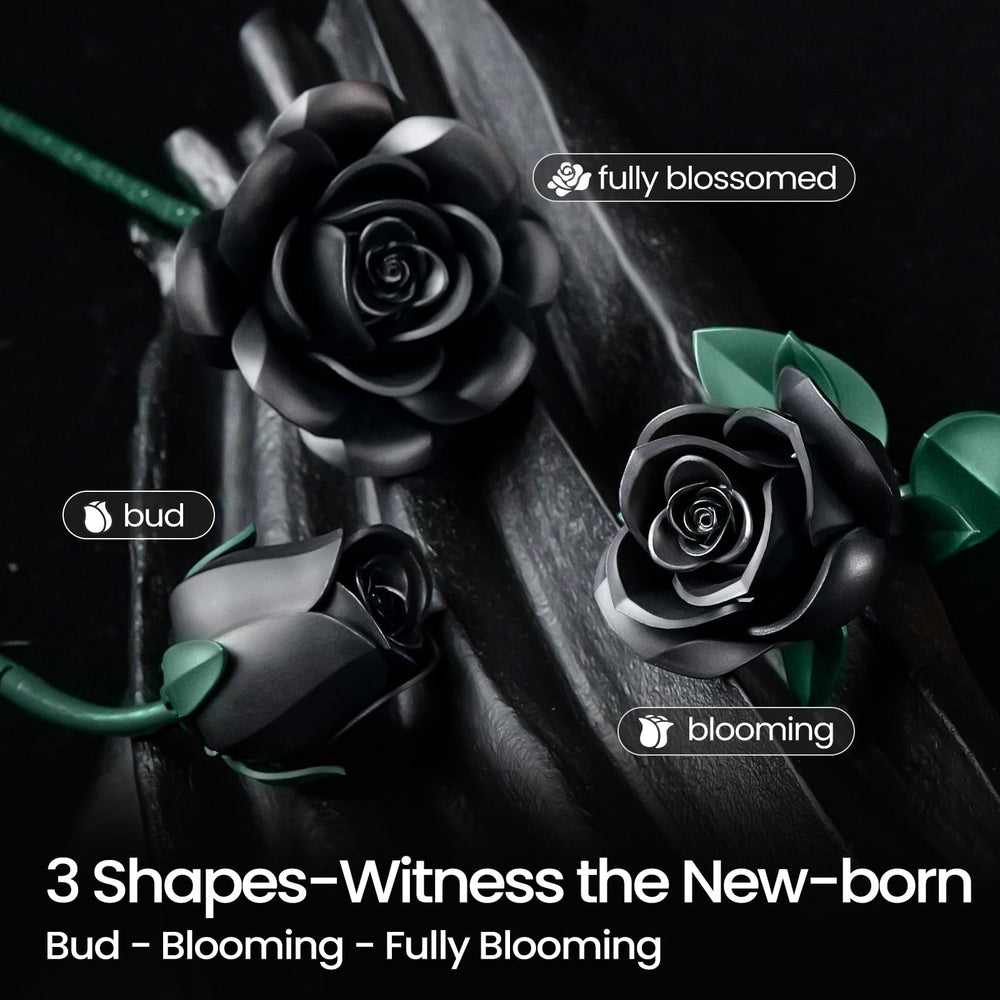 iATOM Black Roses with frosted matte finish highlights detailed petals