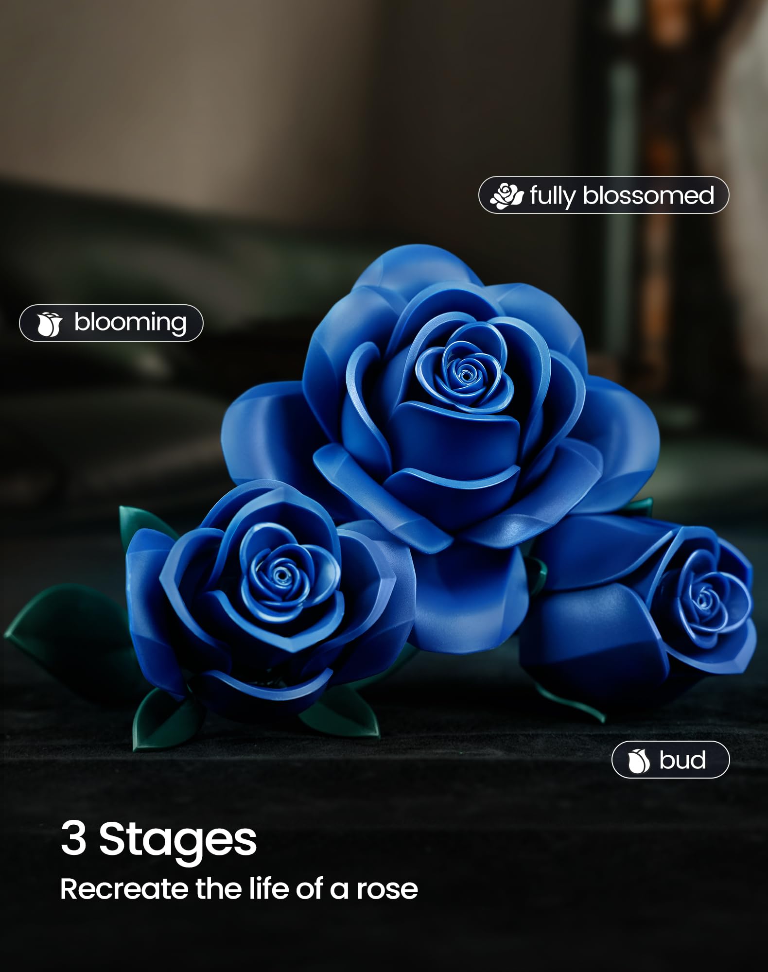 iATOM gift-ready blue rose set for her with artistic charm
