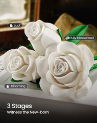 iATOM White Rose Bouquet Building Set: fade-free, odorless display option