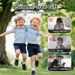 Ibwaae insects cards illustrated support curiosity and identification during nature walks