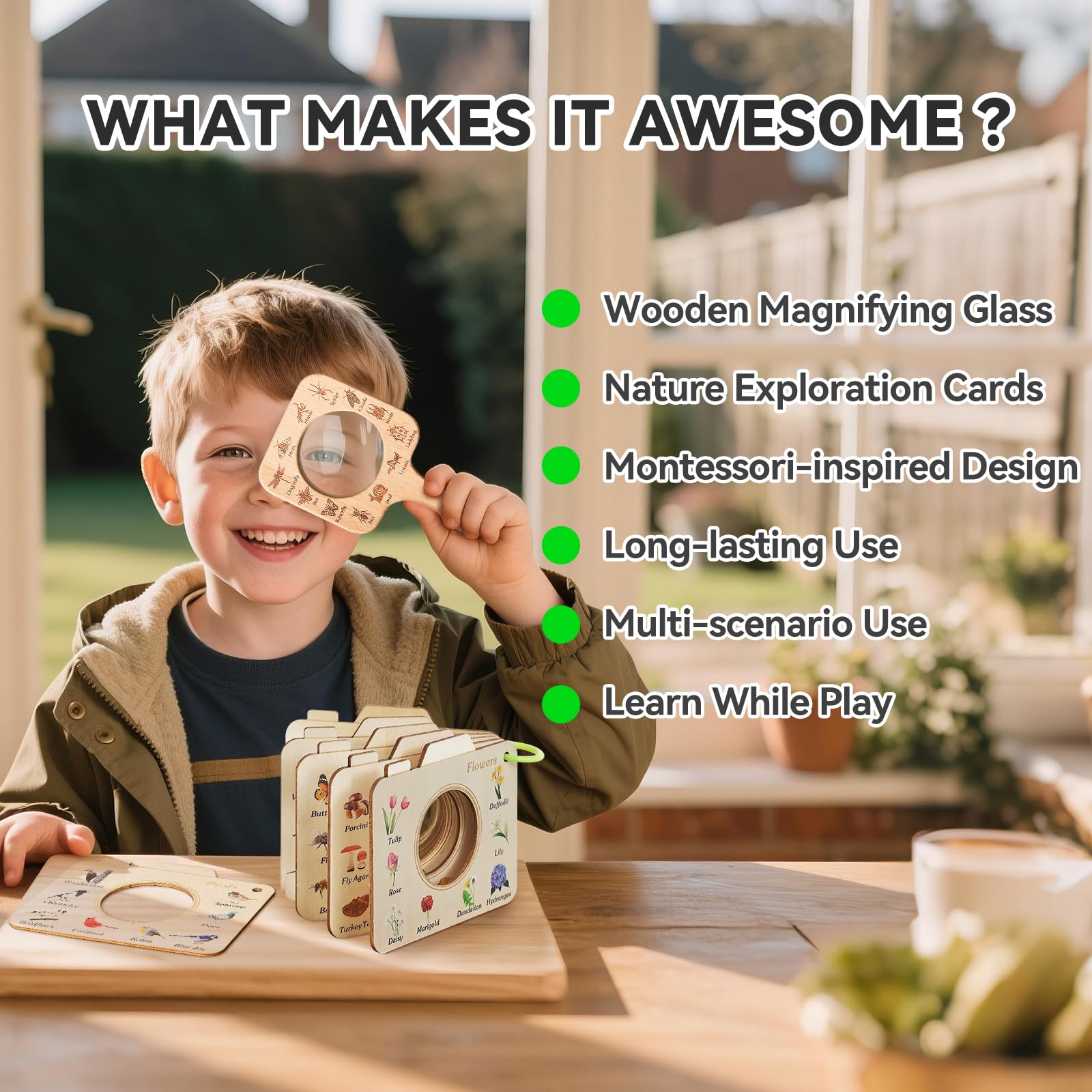 Ibwaae mushrooms and flowers cards showcase fungi and blooms for study outdoors