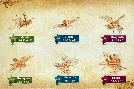 i-CHONY 3D insect puzzle cicada to boost fine motor skills during assembly.