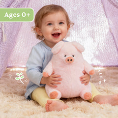 Face detail of IKASA pig plush, inviting smiles.