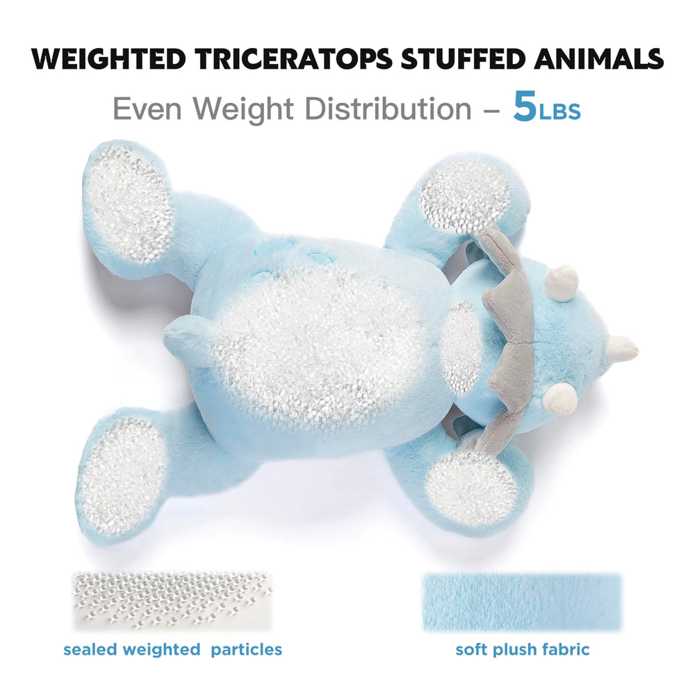 IKASA Triceratops gift-ready box for birthdays.